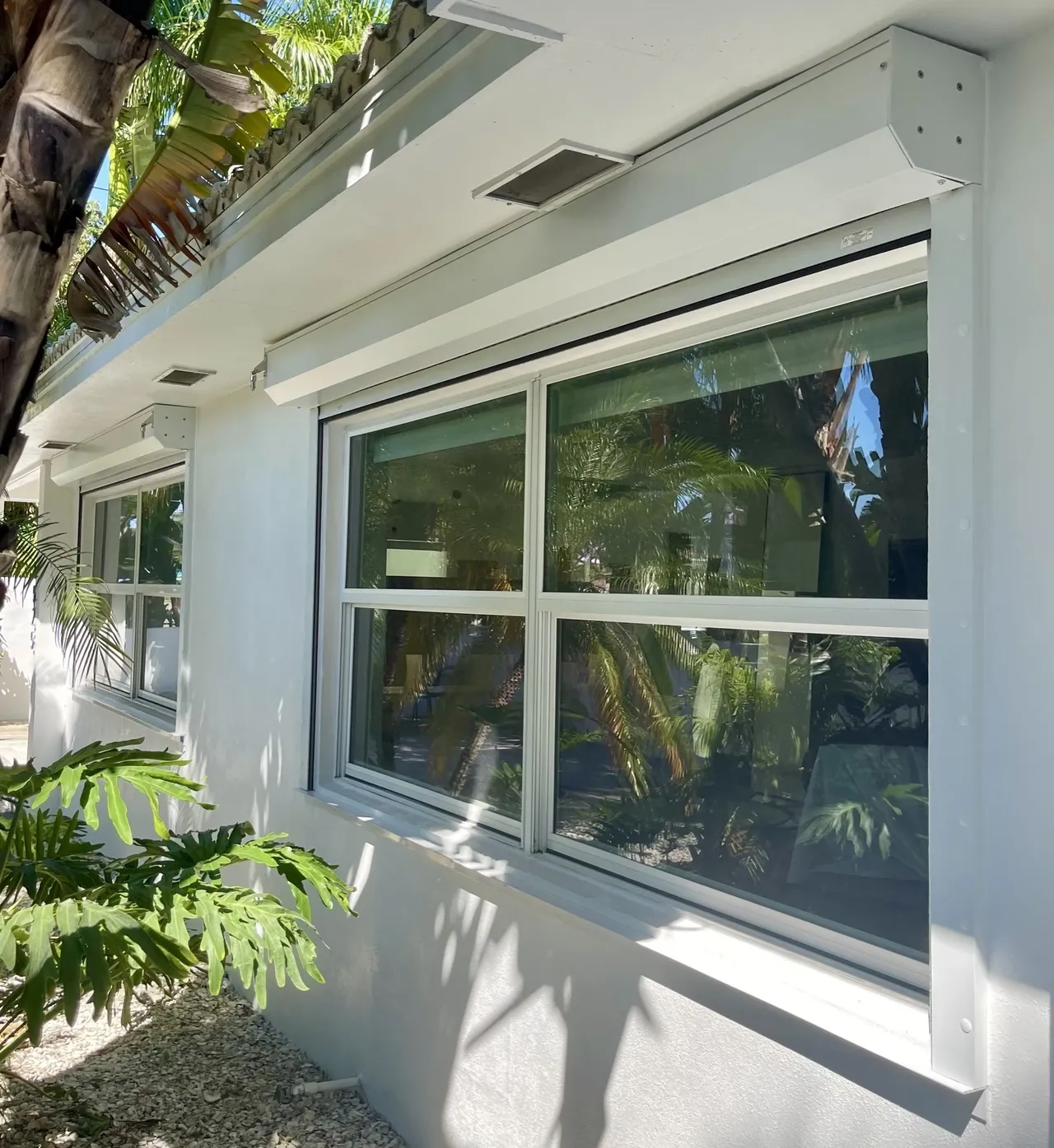 White windows with tropical palm leaves reflecting in glass panes